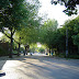 DSC00600.JPG
