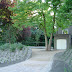 DSC00608.JPG