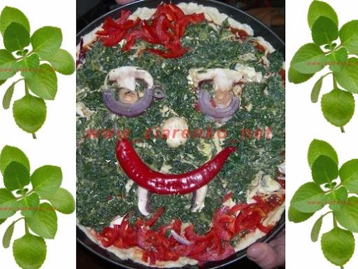 oregano