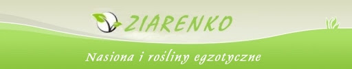 logoaukcjea2bezdolu.jpg