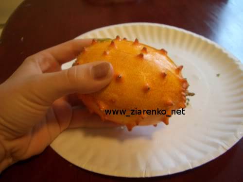 Kiwano Cucumis metuliferus