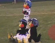 2009年4月9日
