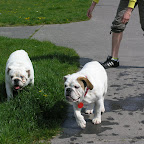 Győr 2010.04.18 032.JPG