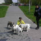 Győr 2010.04.18 043.JPG
