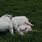 Győr 2010.04.18 071.JPG