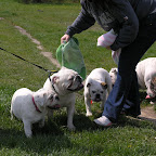 Győr 2010.04.18 149.JPG