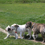 Győr 2010.04.18 154.JPG