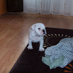 100_2972.JPG