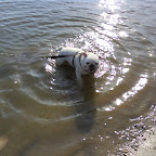 DSC00394.JPG