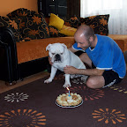 100_3621.JPG