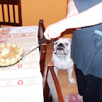 100_3633.JPG