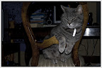 Sannas sköna katt Fransson, här i sin favorit-relax-position.