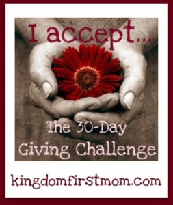 [30-day-giving-challenge-253x300[2].jpg]