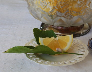 lemon7 lemon7