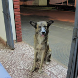 Somebody wants some of my steak!