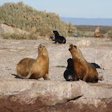 Two females have a conversation.