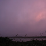 Pink fog as the sun sets