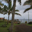 Front lawn of our guest house.  A large visitor offshore that day!