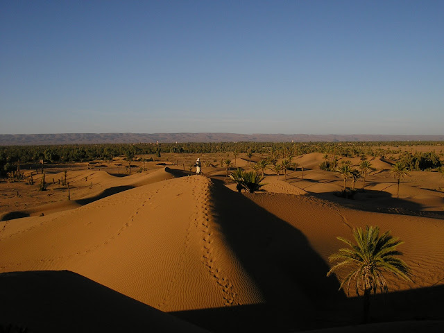 From the top of a nearby sand dune
