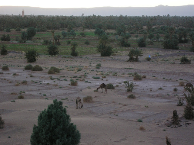 View at dusk from the sand dune