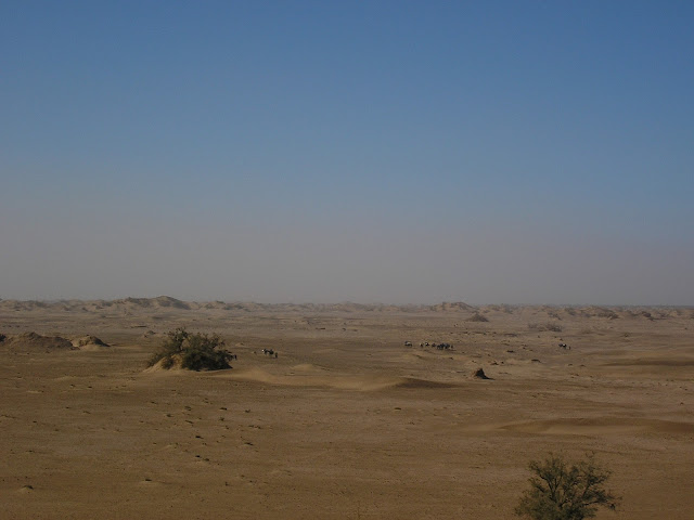 View from a sand dune at a rest stop deeper in the Sahara