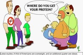 [protein[5].jpg]