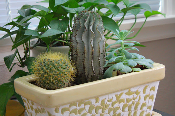 Just you wait, I can kill any plant life unfortunate enough to be here.