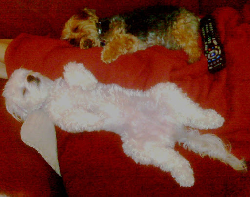 babies