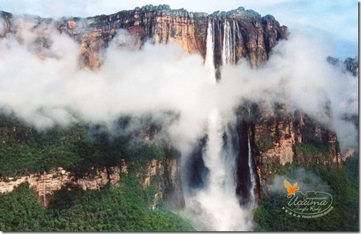 salto_angel