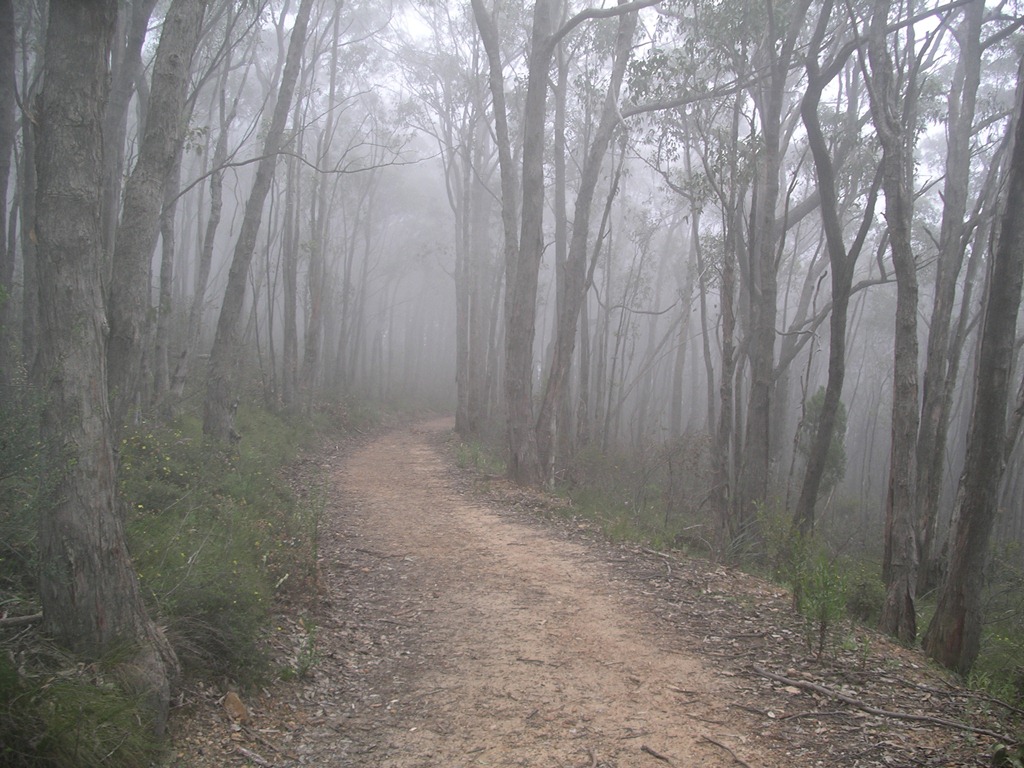 [Mt-Lofty-Trail-in-the-clouds3.jpg]