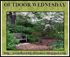[Outdoor_Wednesday_logo[4][5].png]