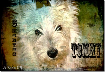 Tommy 5 months