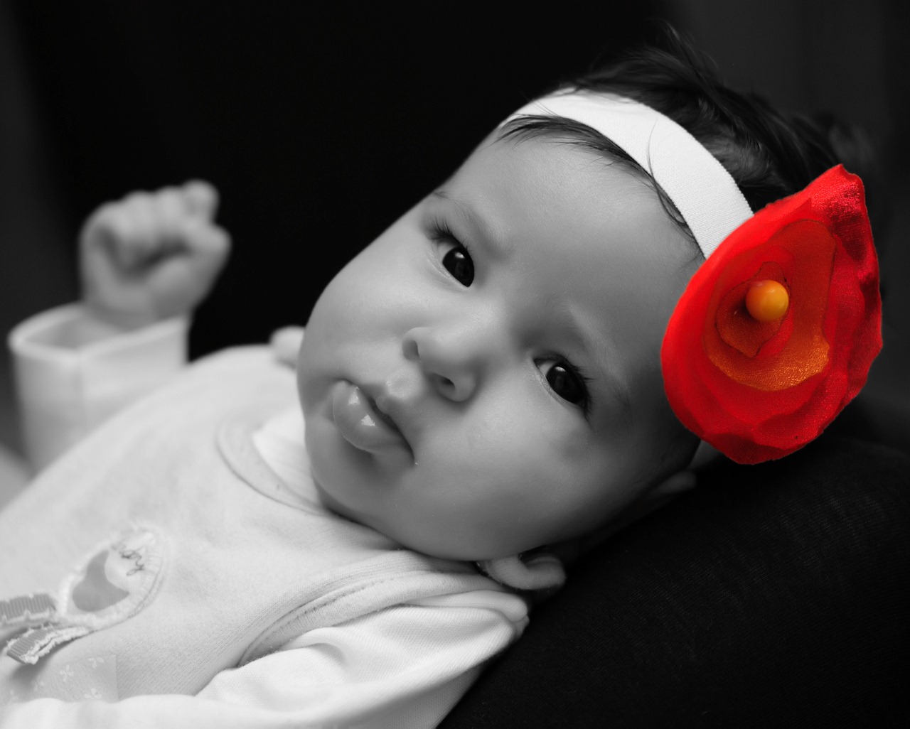 [model-red-black-and-white-flower[3].jpg]
