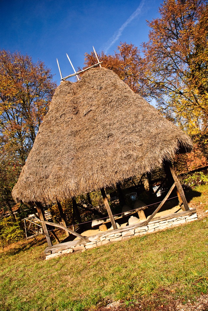 [DSC_00763.jpg]