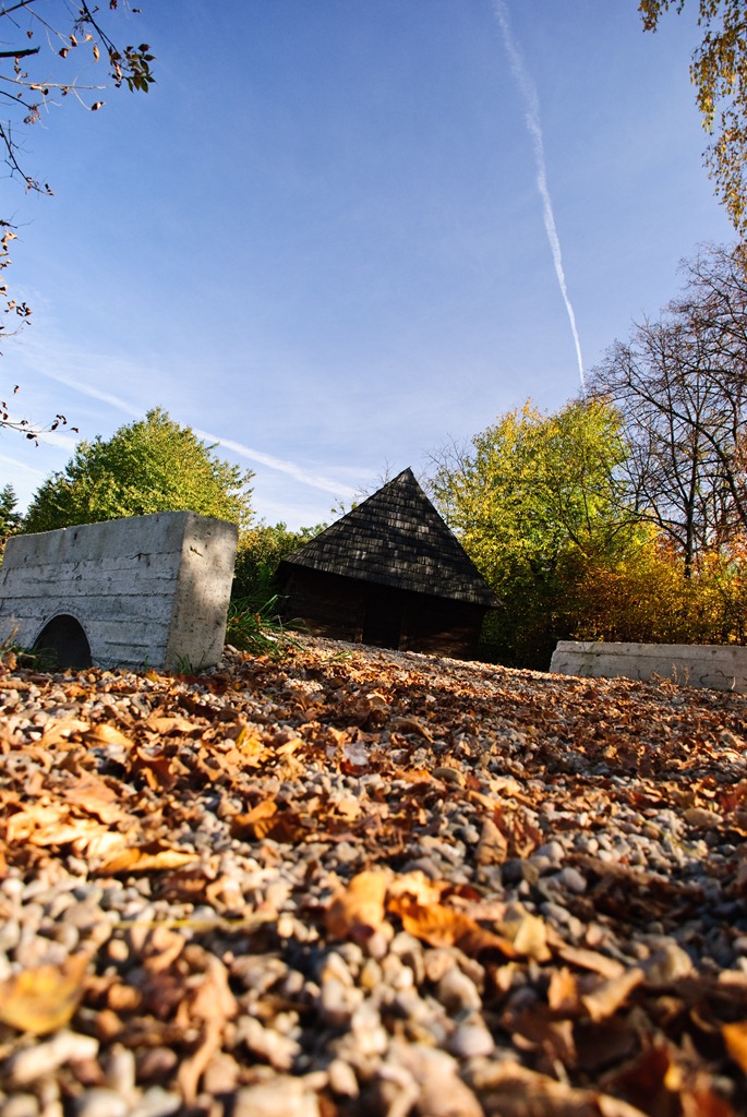 [DSC_01856.jpg]