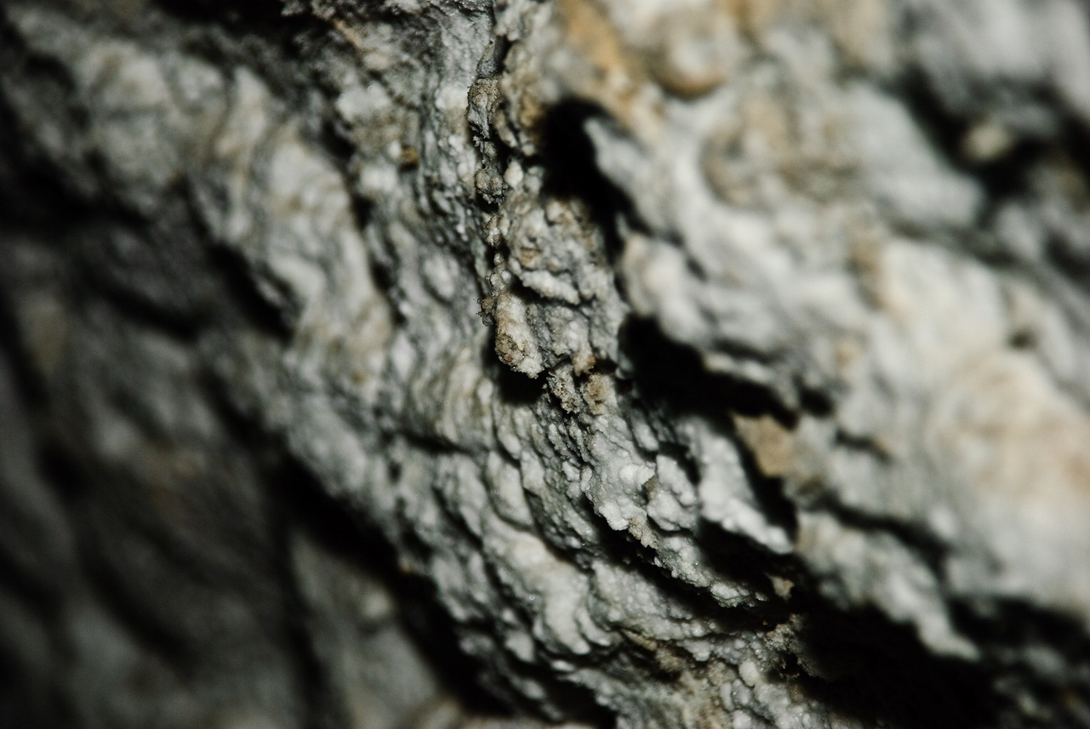 [turda-salt-mine-salty-wall[6].jpg]