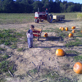 Early Fall 2008