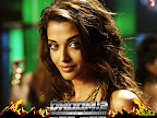 Search for 'Aishwarya Rai'