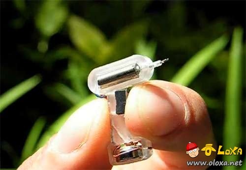 worlds-smallest-19 worlds-smallest-19
