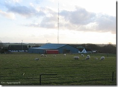 IMG_4312