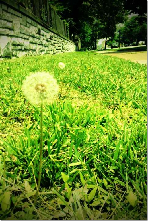 FxCam_1305134731864