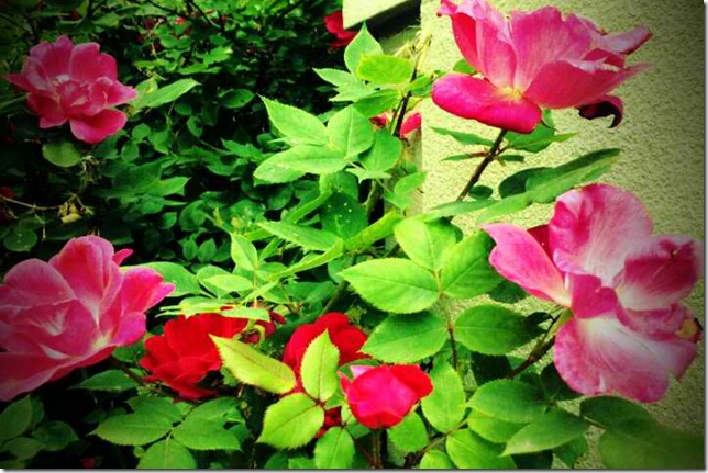 FxCam_1305134917647