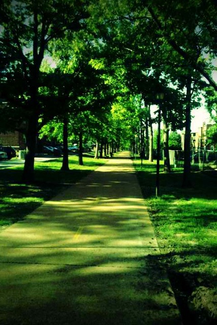 [FxCam_1305239245570[4].jpg]