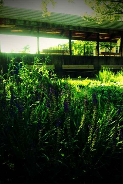 [FxCam_1305239473364[4].jpg]