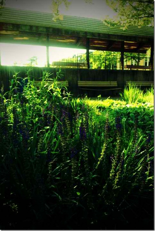 FxCam_1305239473364