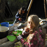 Pinselejr for Blåmejser og Juniorpiger 2010 065.JPG