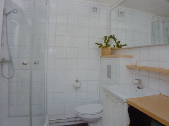 [P1090402[8].jpg]