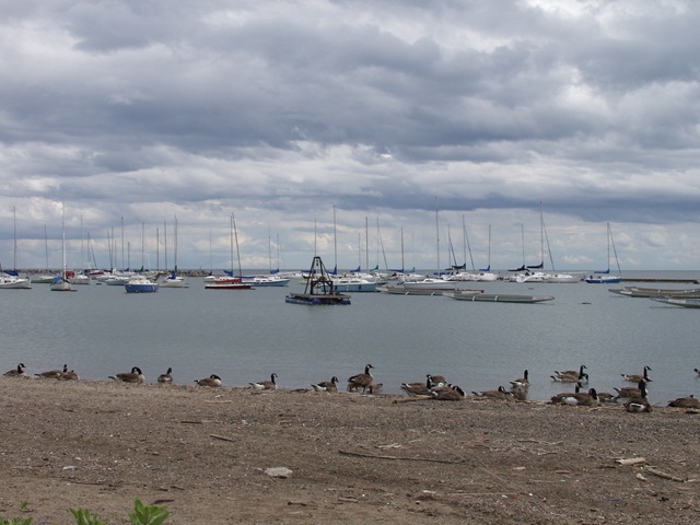 [P6172348[8].jpg]