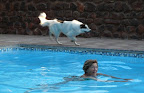 Ein schönes sauberes und erfrischendes Pool.