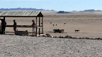 Eine tränke für die Wildpferde in der Namib, Strauße sind auch dabei.